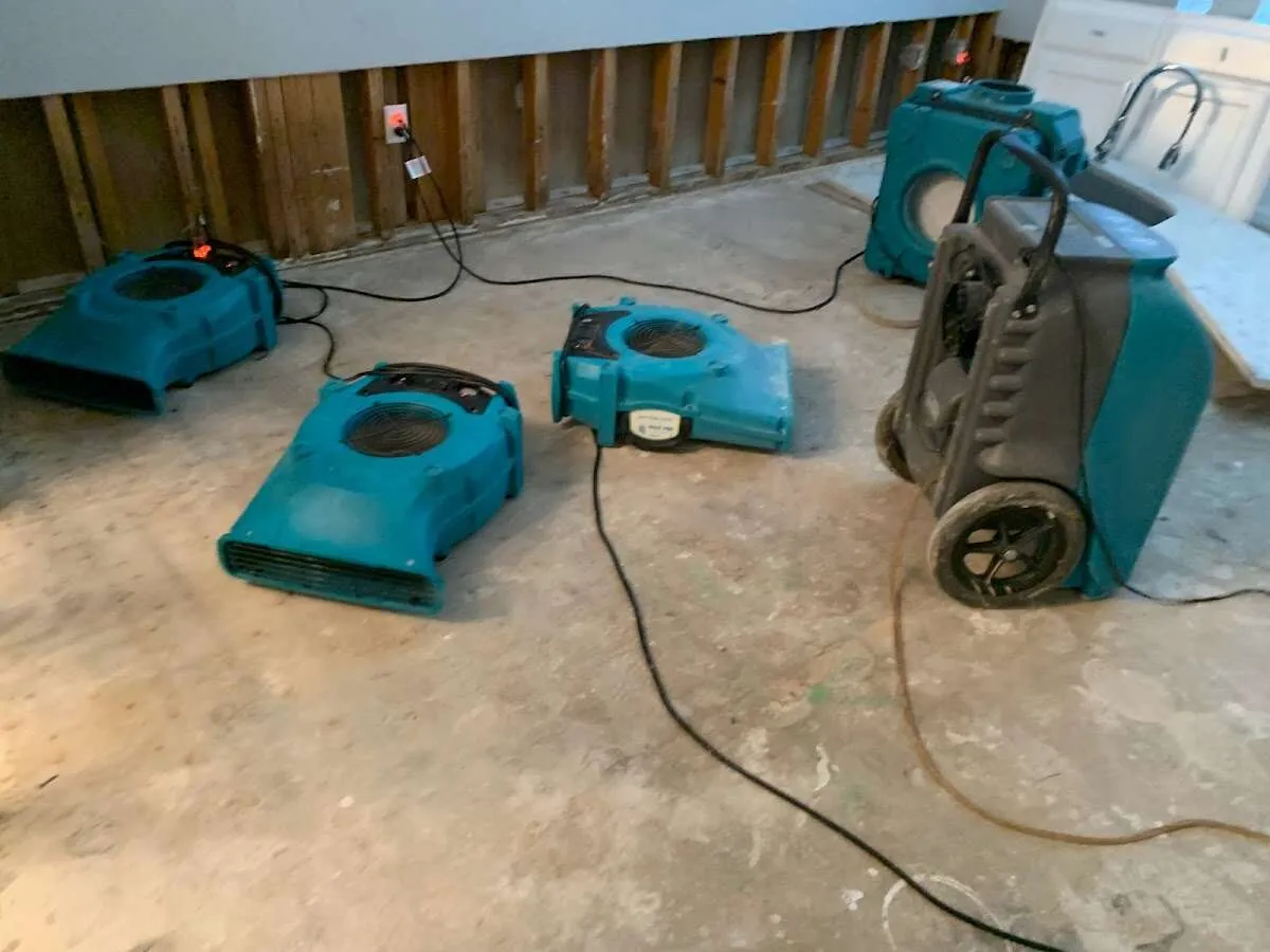 Drying & Dehumidification in Waite Park, MN